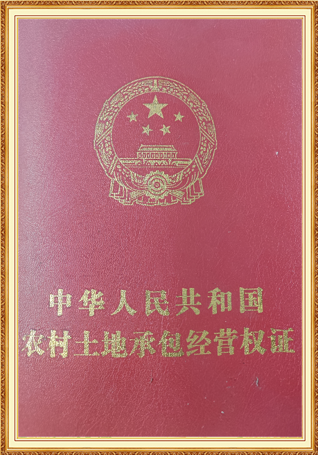 Certificate Of Honor
